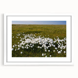 Abstract art print featuring a serene Northwest Territories landscape in muted blue and green tones, framed with a white mat.
