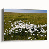 Framed canvas featuring a vintage-style landscape painting of the Northwest Territories with a dominant black and colorful…