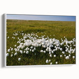 Vintage poster art of Canada's Northwest Territories on a framed canvas.