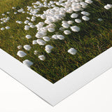 Art deco poster of Northwest Territories landscape in muted earth tones on rolled canvas, suitable for dining room wall art.