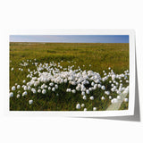 Scenic depiction of Northwest Territories on a rolled print, featuring serene blue and green tones.