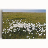 Black and white photograph of Northwest Territories landscape on large stretched canvas, suitable for kitchen wall art.