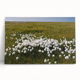 Black and white photo of the Northwest Territories landscape on a large stretched canvas, ideal for kitchen wall art.