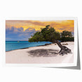 Extra large rolled print of a Caribbean beach scene with vibrant blue and turquoise hues, ideal for dining room wall art.