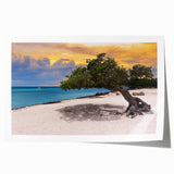 Extra large rolled print of a Caribbean beach scene with vibrant blue and turquoise hues, ideal for dining room wall art.
