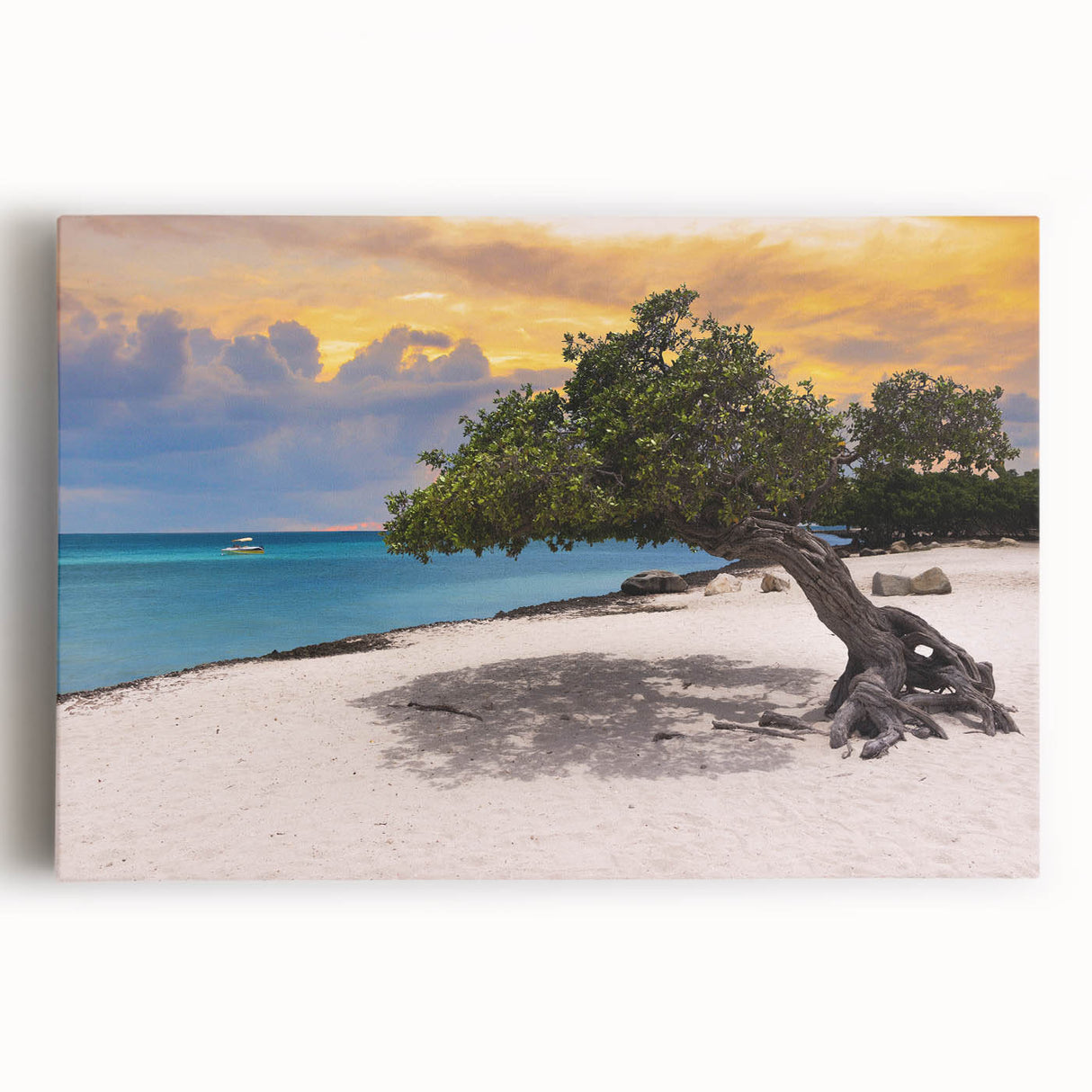 Black and white stretched canvas featuring a panoramic view of the Caribbean Aruba scenery, ideal for kitchen wall art.