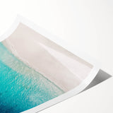 Extra large wall art featuring line art flowers in soft pastel shades on a rolled canvas.