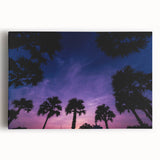 Black and white stretched canvas featuring a panoramic view of a Caribbean beach, ideal for kitchen wall art.