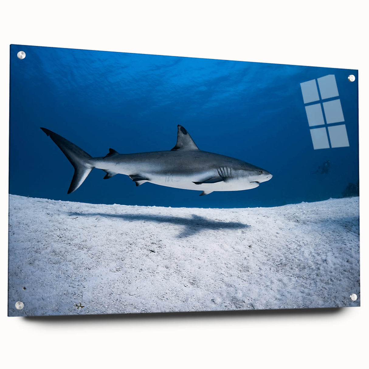 Acrylic glass print of a Caribbean scenery with vibrant blue and green tones, ideal for bedroom or dining room decor.