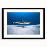 Extra large abstract art print of a Caribbean scene in vibrant colors on a textured canvas, framed in black.