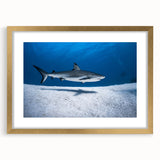 Abstract art print of a Caribbean scene in a gold frame, featuring deep blue and turquoise tones.