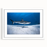 Textured abstract art print of a Caribbean scene in muted blue and green hues on a white framed canvas.