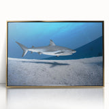 Art Deco poster featuring a Caribbean scenery with turquoise waters and palm trees, framed in gold acrylic.