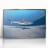 Large art print of a Caribbean seascape in acrylic, framed in silver, featuring mid-century modernist style.