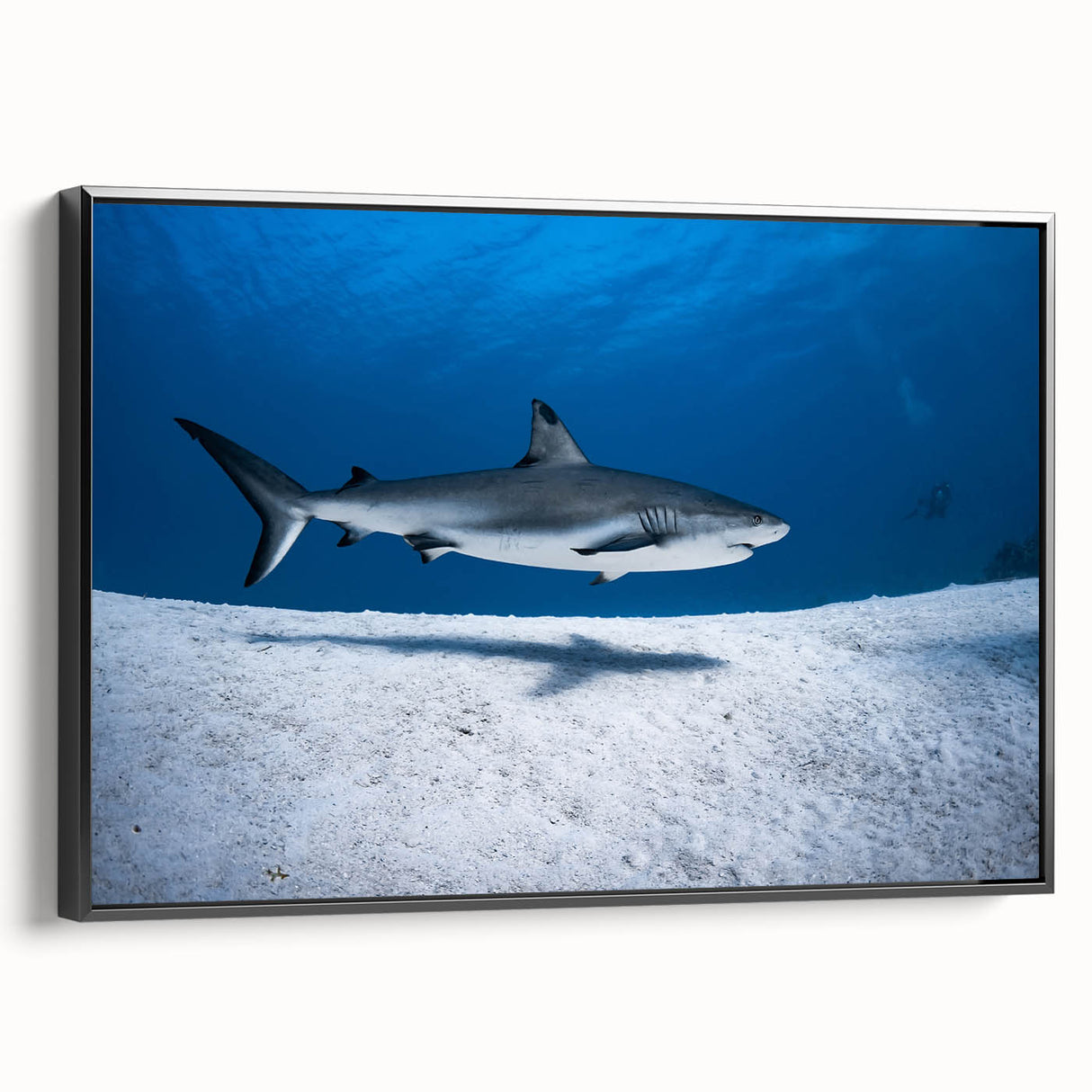 Black and white framed canvas depicting a serene Caribbean landscape, ideal for bedroom wall art.
