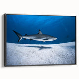 Black and white framed canvas depicting a serene Caribbean landscape, ideal for bedroom wall art.
