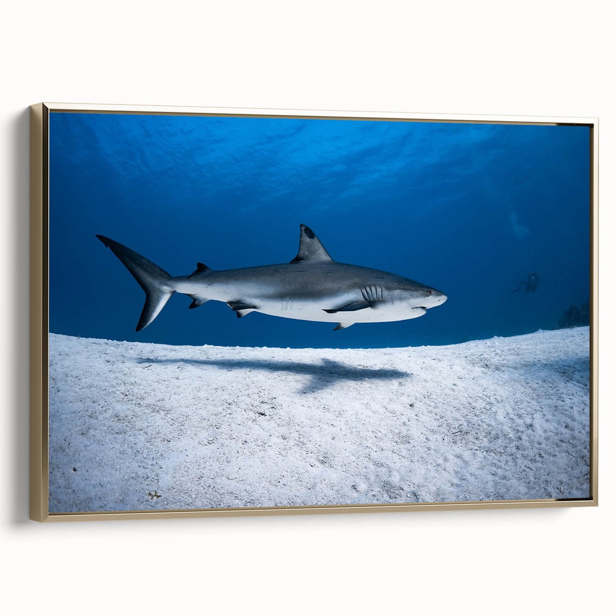Framed canvas featuring a vintage-style landscape of the Caribbean Turks with muted gold and black tones.