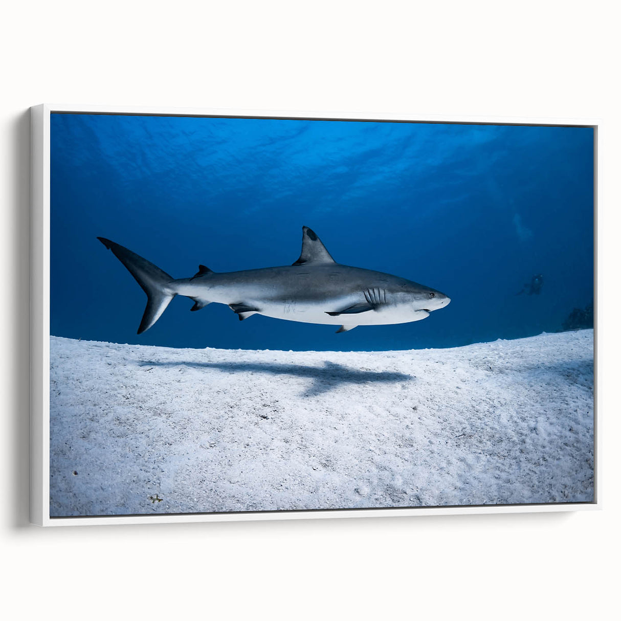 Vintage poster art of a Caribbean scene on a framed canvas, featuring vibrant blue and green tones.