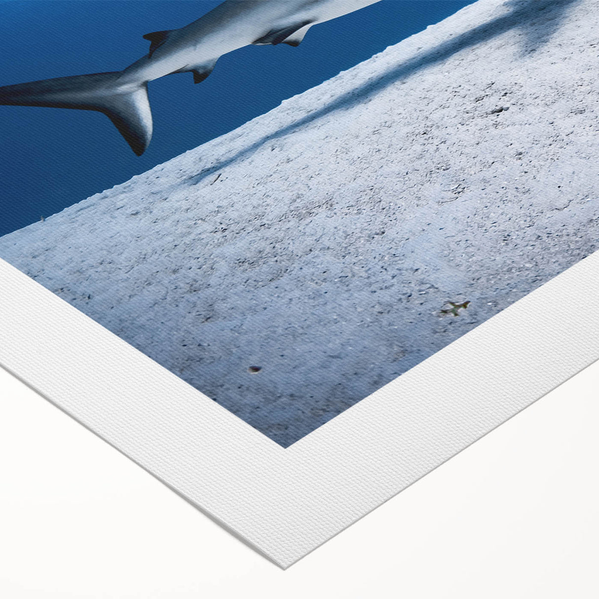 Art deco poster featuring a serene Caribbean scene with soft blue and sandy hues on rolled canvas.