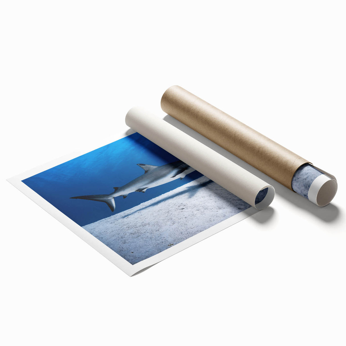 Extra large rolled print of a Caribbean scenery with vibrant blue and green tones, ideal for classy bathroom wall art.