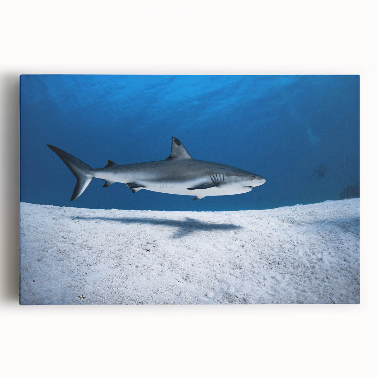 Black and white stretched canvas featuring a serene Caribbean beach, ideal for kitchen wall art or bedroom ambiance.