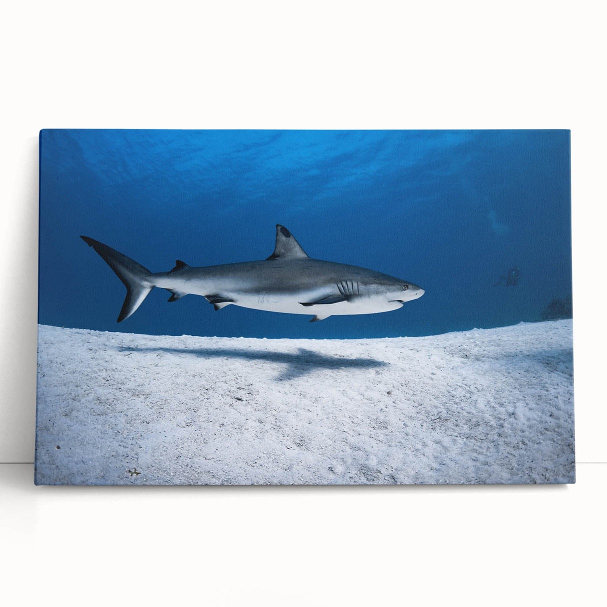 Large black and white photo of Caribbean Turks scenery on stretched canvas, suitable for kitchen wall art.