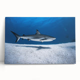 Large black and white photo of Caribbean Turks scenery on stretched canvas, suitable for kitchen wall art.