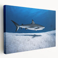 Large canvas print of a serene Caribbean beach scene, with soft blue and sandy tones, ideal for kitchen wall art.