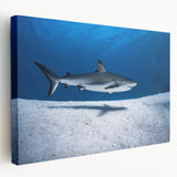 Large canvas print of a serene Caribbean beach scene, with soft blue and sandy tones, ideal for kitchen wall art.