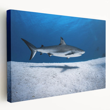 Large canvas print of a serene Caribbean beach scene, with soft blue and sandy tones, ideal for kitchen wall art.