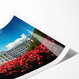 Extra large wall art featuring line art flowers in muted earth tones on a rolled print, suitable for large living room decor.