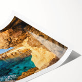 Extra large rolled print of line art flowers in muted earth tones, ideal for large living room wall art.