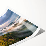 Extra large rolled print featuring line art flowers in muted tones, ideal for large living room wall art.