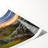 Extra large wall art featuring line art flowers in muted tones on a rolled print, suitable for large living room decor.