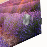 Large abstract wall art featuring the Provence landscape in muted earth tones on acrylic glass.