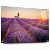 Acrylic print of a Provence landscape in soft pastel shades, ideal for bedroom or dining room decor.