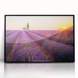 Large abstract wall art depicting a serene Provence landscape in muted earth tones, framed in black acrylic.