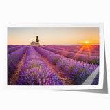 Rolled print of Provence landscape with lavender fields in muted purples and greens, ideal for dining room wall art.
