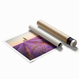 Extra large rolled print featuring a scenic Provence landscape with vibrant lavender fields.