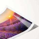 Extra large wall art featuring line art flowers in muted earth tones on a rolled print.