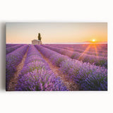 Black and white photograph of a Provence landscape on stretched canvas, ideal for kitchen wall art.