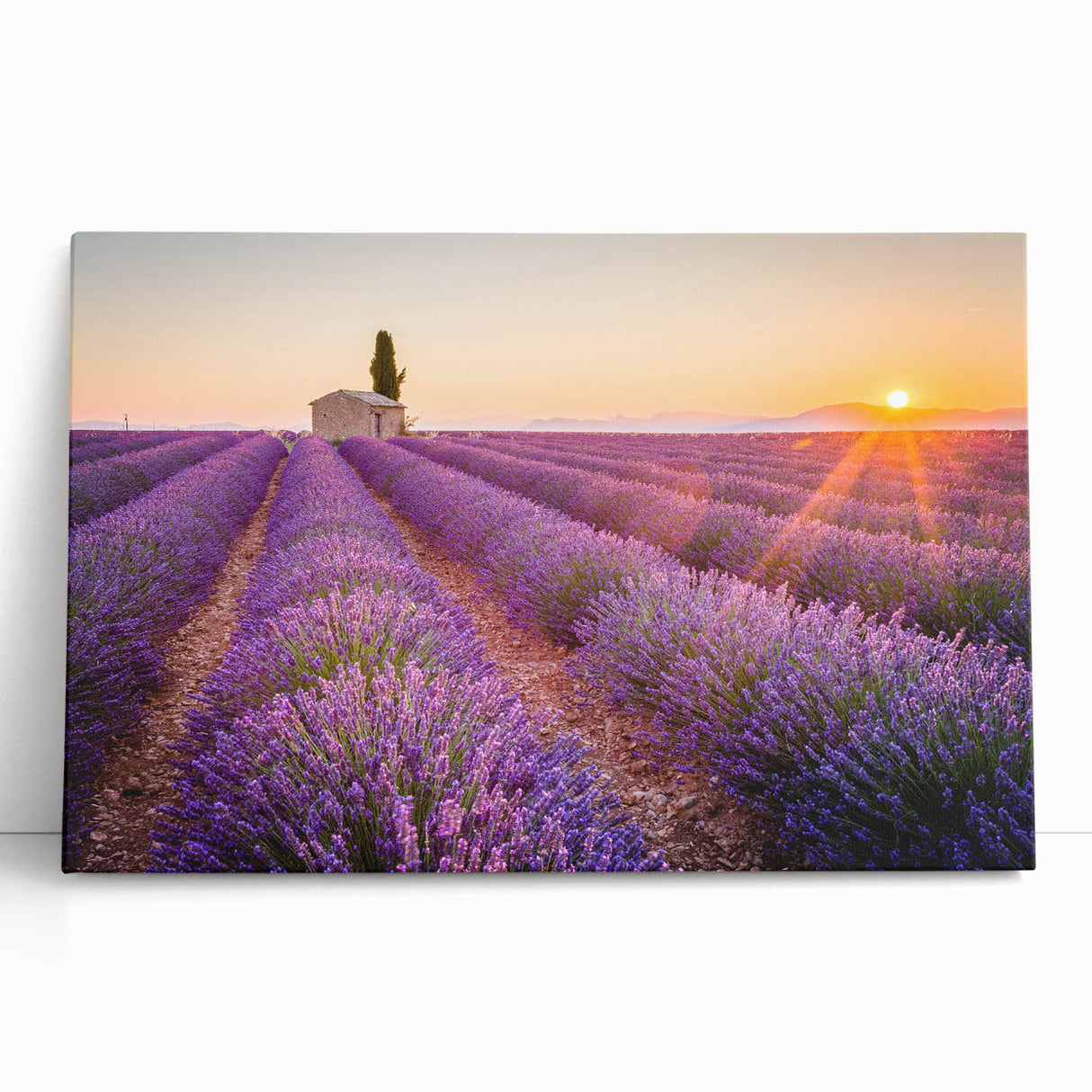 Black and white large art print of Provence scenery on stretched canvas, ideal for kitchen wall art.
