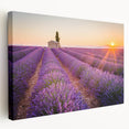 Lavender fields in Provence under a clear sky on a large stretched canvas, suitable for kitchen wall art.