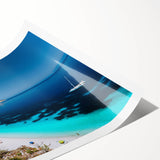 Extra large wall art of line art flowers in muted tones on a rolled canvas, suitable for large living room decor.