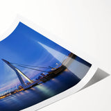 Extra large wall art featuring line art flowers in monochrome, rolled print format, ideal for large living room wall decor.