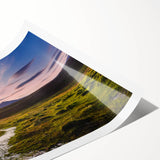 Extra large wall art featuring line art flowers, set in a minimalistic style with muted tones.