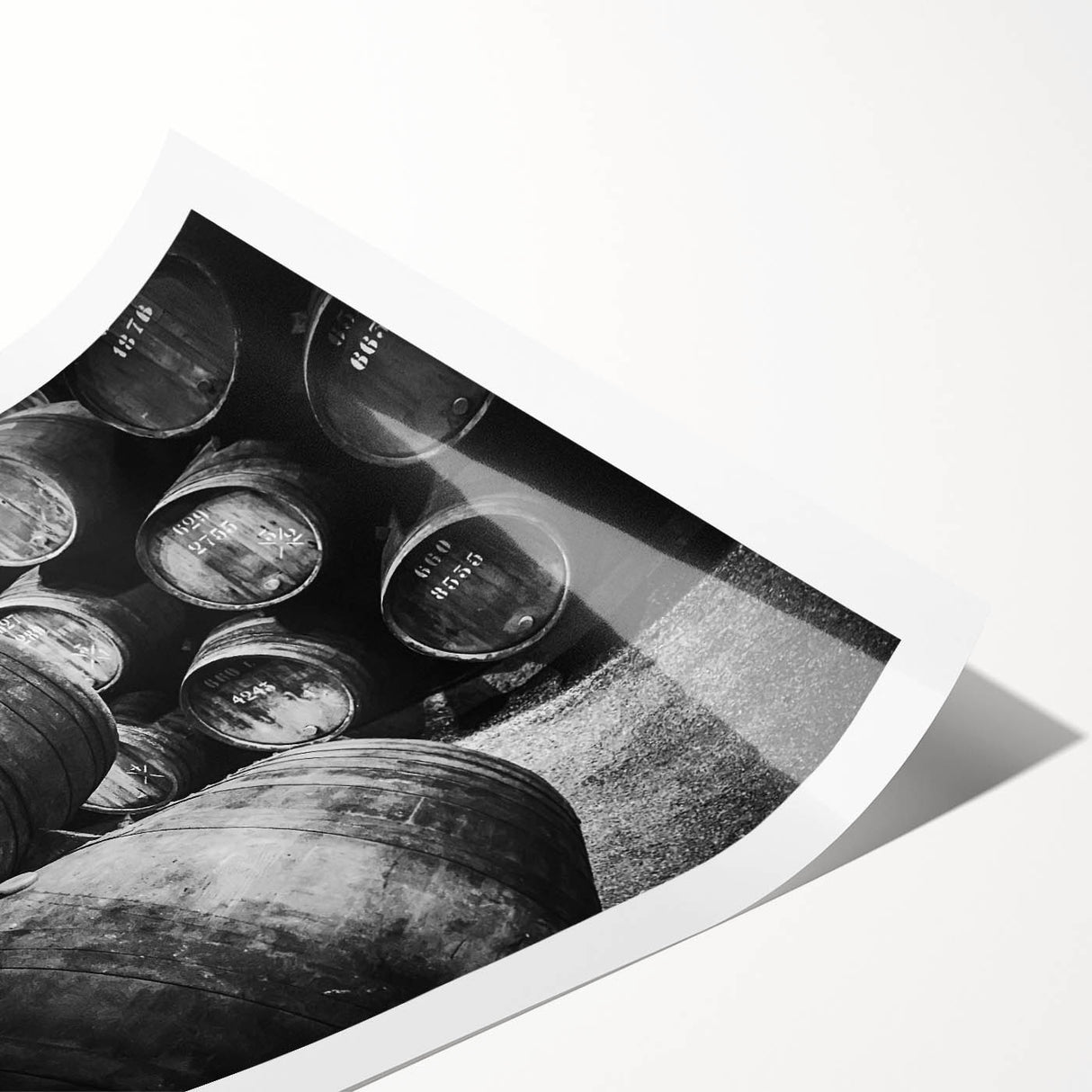 Extra large rolled print of line art flowers, featuring muted earth tones, ideal for large living room wall art.
