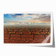 Extra large rolled print of Valencia scenery with vibrant floral elements, ideal for art wall dining room.