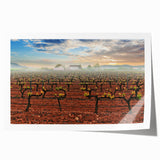 Extra large rolled print of Valencia scenery with vibrant floral elements, ideal for art wall dining room.