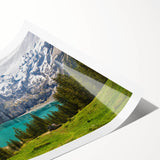 Extra large wall art featuring line art flowers in subtle colors on rolled print, ideal for large living room decor.